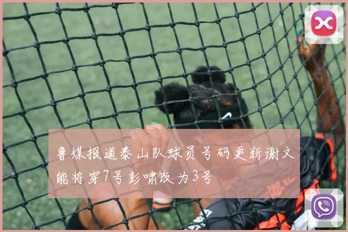 鲁媒报道泰山队球员号码更新谢文能将穿7号彭啸改为3号