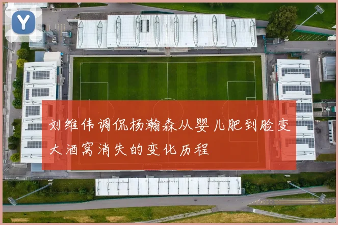 刘维伟调侃杨瀚森从婴儿肥到脸变大酒窝消失的变化历程