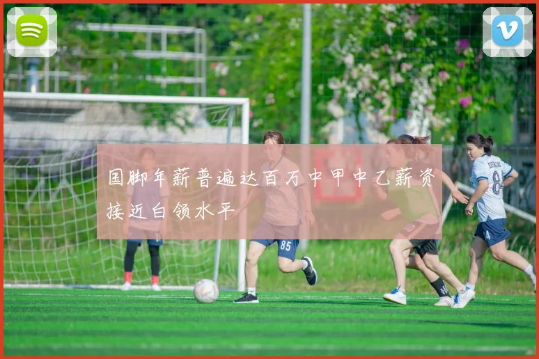 国脚年薪普遍达百万中甲中乙薪资接近白领水平